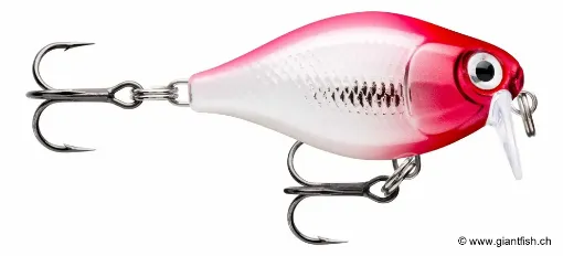 Rapala Leurre de pêche CountDown