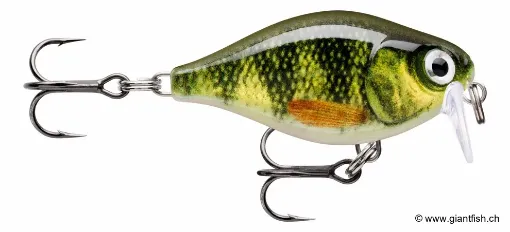 Rapala Leurre de pêche CountDown