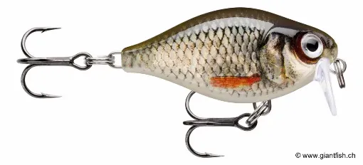 Rapala Leurre de pêche CountDown