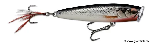 Rapala Skitter Pop