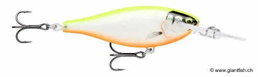 Rapala Leurre de pêche