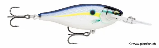 Rapala Leurre de pêche