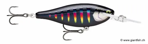 Rapala Leurre de pêche