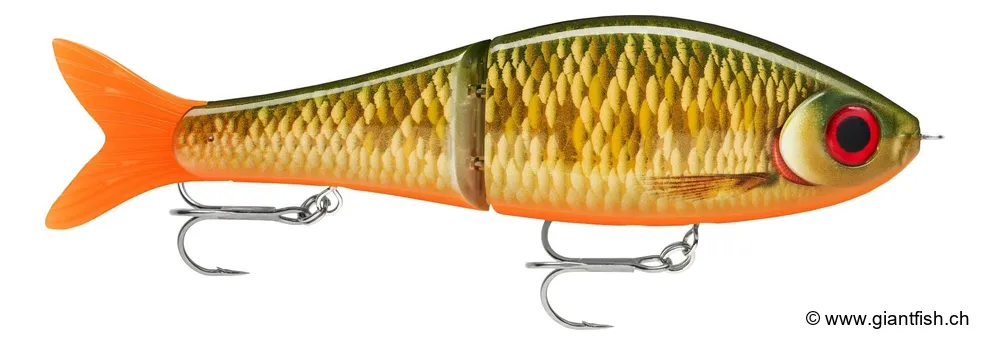 Scaled Roach (SCRR)