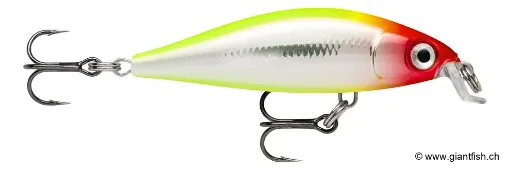 Rapala Leurre de pêche