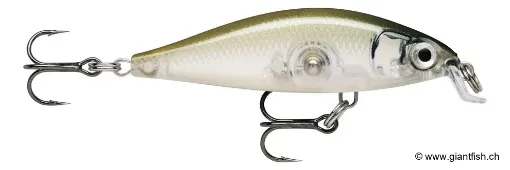 Rapala Leurre de pêche