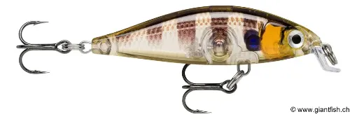 Rapala Leurre de pêche