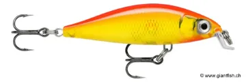 Rapala Leurre de pêche