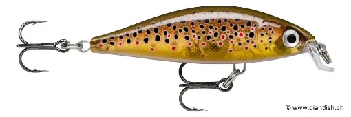 Rapala Leurre de pêche