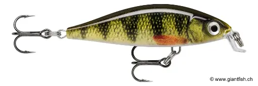 Rapala Leurre de pêche