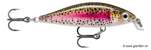 Rapala Leurre de pêche