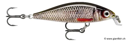 Rapala Leurre de pêche