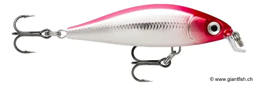 Rapala Leurre de pêche