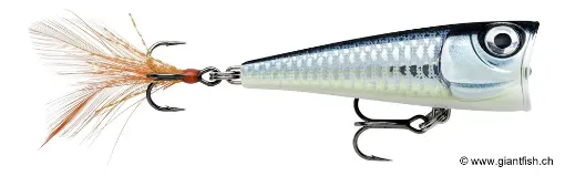 Rapala Leurre de pêche