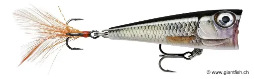 Rapala Leurre de pêche