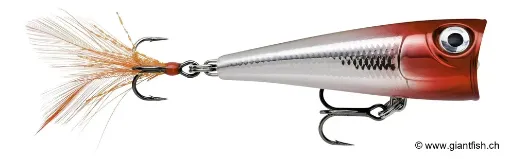 Rapala Leurre de pêche