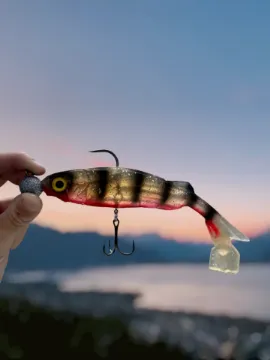 Custom AT Minnow lure - 25cm - Striped Ghost - Montage 360 -  40gr