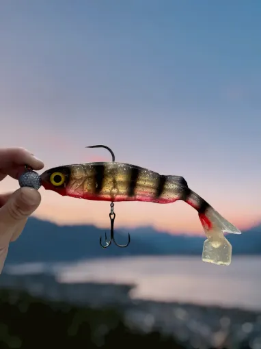 Custom AT Minnow lure - 25cm - Striped Ghost - Montage 360 -  40gr