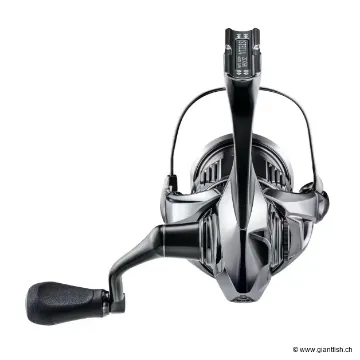 Shimano Stella Back