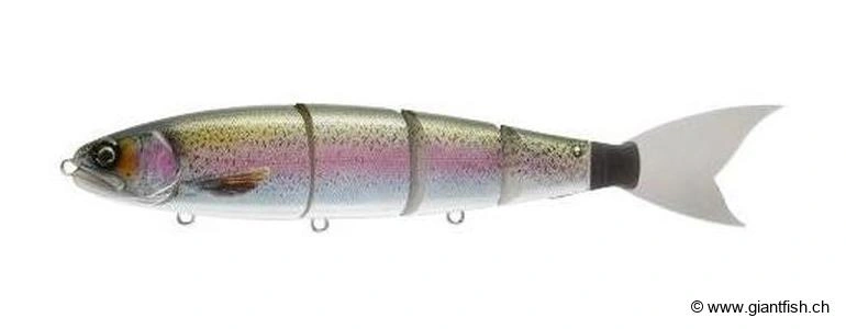 Real Rainbow Trout