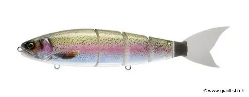 Real Rainbow Trout