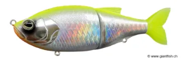 Biwaa Glidebeast 160 S Silver Holo Chart