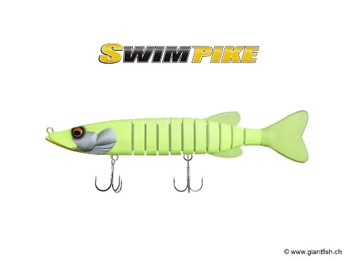 BIWAA SWIMPIKE 24cm - Coulée 0.4m/s - Mat Chart