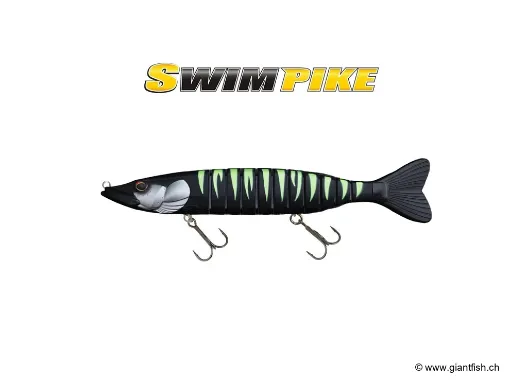 BIWAA SWIMPIKE 24cm - Coulée 0.4m/s - Black Chart