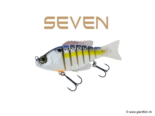 BIWAA SEVEN 7" Sexy Shad