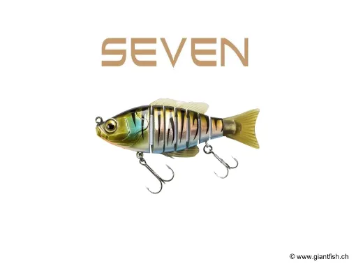 BIWAA SEVEN 7" Natural Tiger