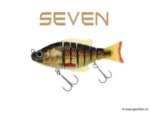 BIWAA SEVEN 7" Flottant Redhorse