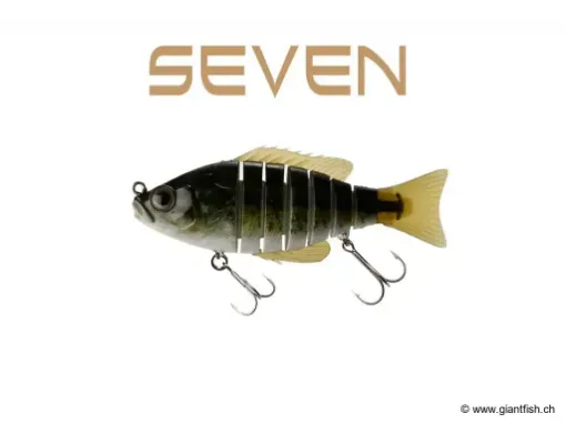 BIWAA SEVEN 7" Flottant Real Bass