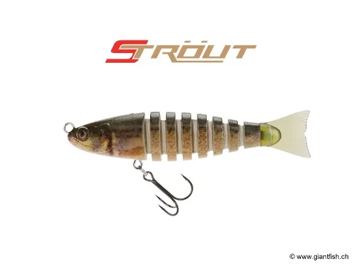 BIWAA S’TROUT 3.5" - Coulée 0.3m/s Loach