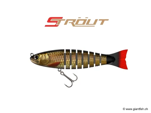 BIWAA S’TROUT 3.5" - Coulée 0.3m/s Redhorse