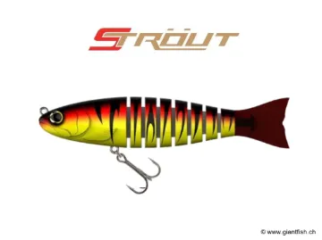 BIWAA S’TROUT 3.5" - Coulée 0.3m/s Red Tiger