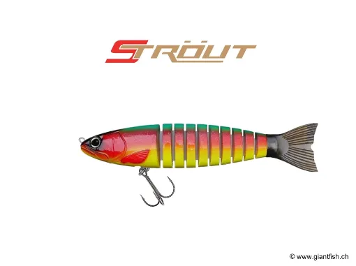 BIWAA S’TROUT 3.5" - Coulée 0.3m/s Loro