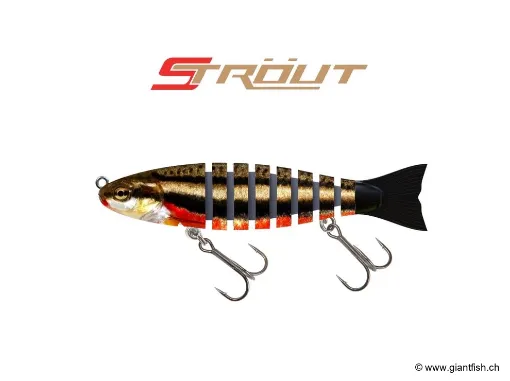 BIWAA S’TROUT 5.5" - Coulée 0.3m/s Ugli