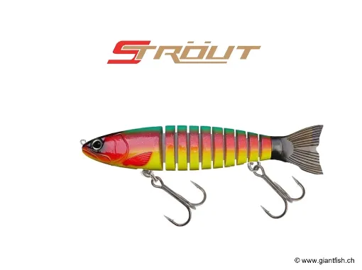 BIWAA S’TROUT 5.5" - Coulée 0.3m/s Loro