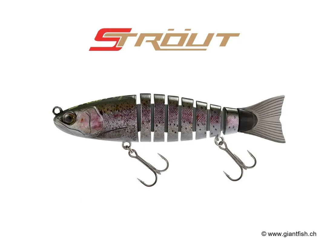 (007) CT Rainbow - 23cm - 115g