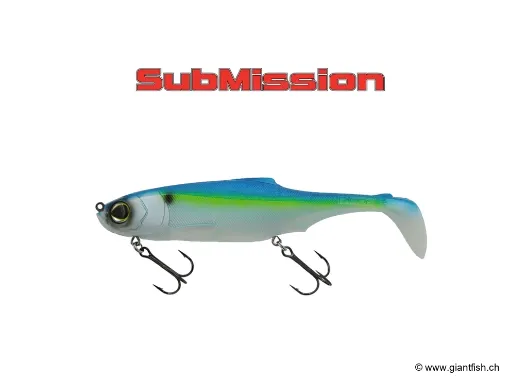 BIWAA SUBMISSION 8 " FS 105G - 20cm Herring