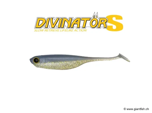 BIWAA DIVINATÖR-S 2.5" - 6cm Sexy Shad