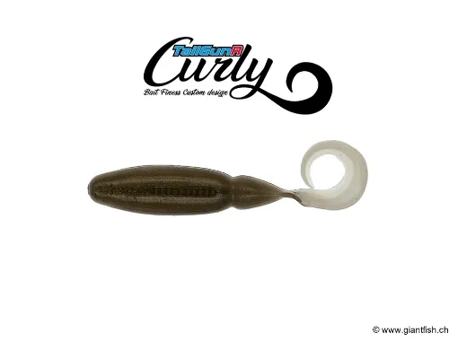 BIWAA TAILGUNR CURLY 2.5" #203 Bronze Ayu