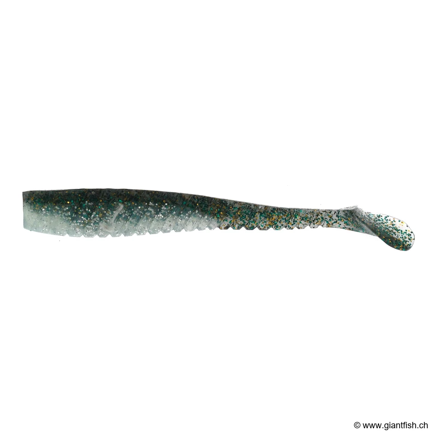 Kibinago / Green Eel