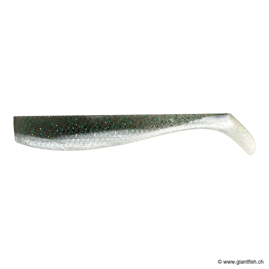 Kibinigo Green Eel