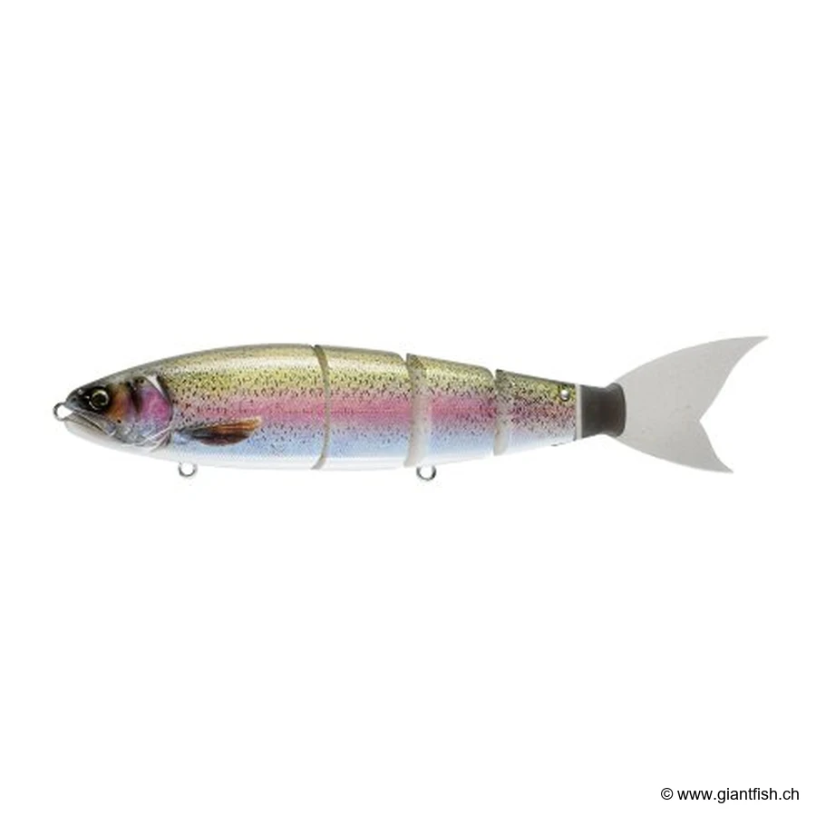 Real Rainbow Trout