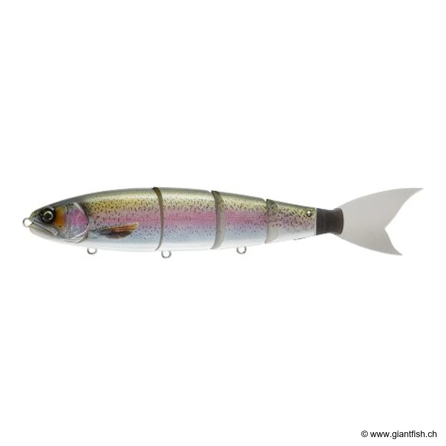 Real Rainbow Trout