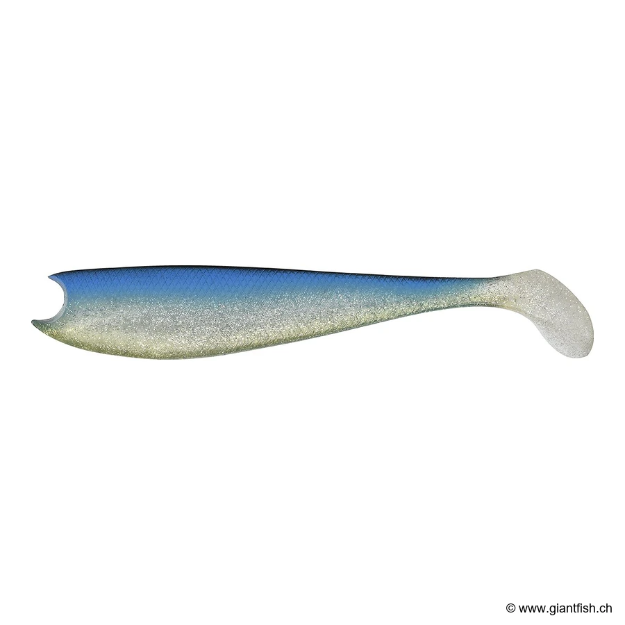 Dorado Herring