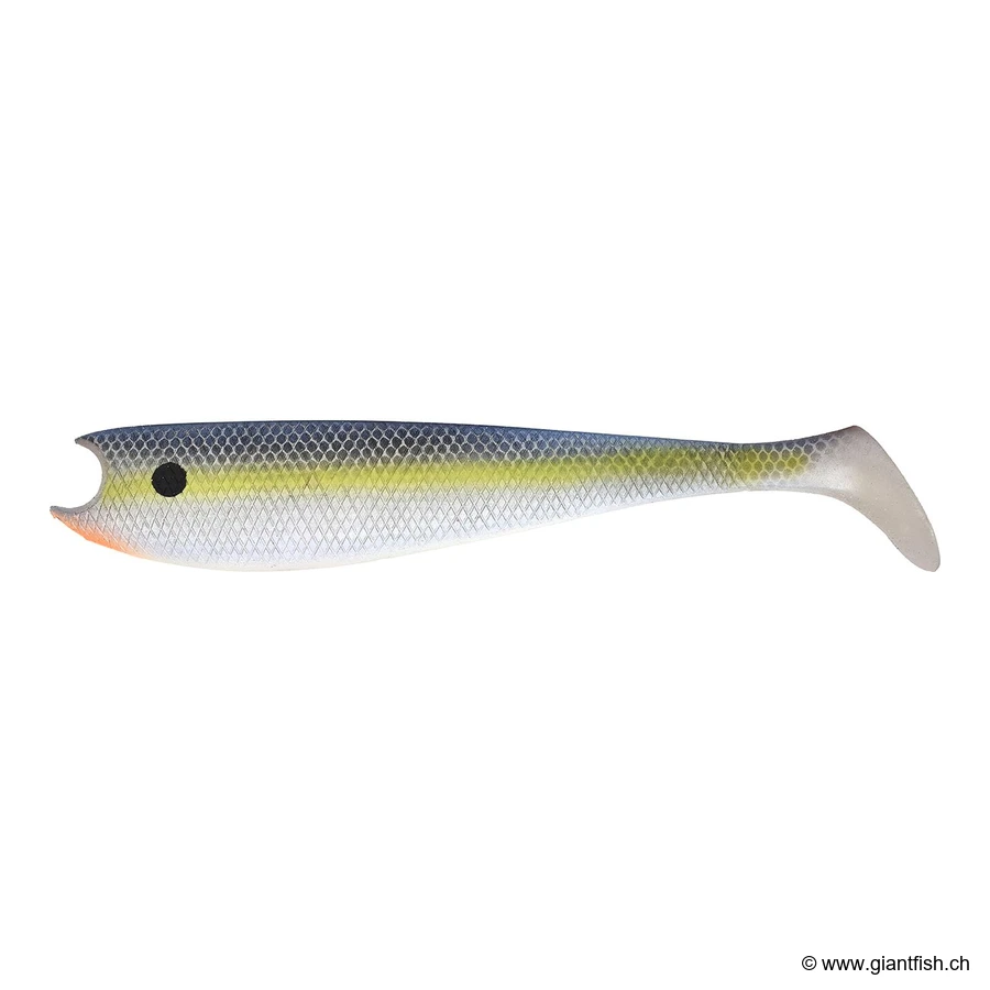 Sexy Shad