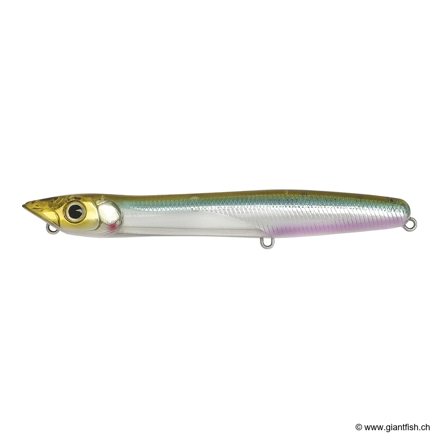 Spring Minnow