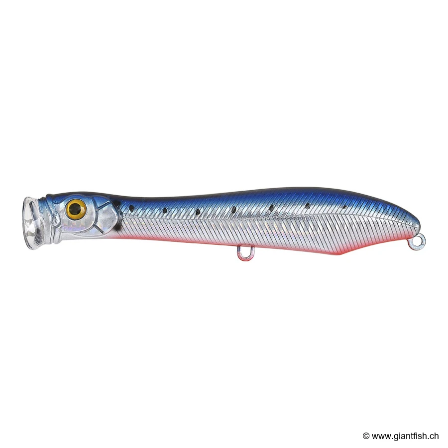 Sardine Rb